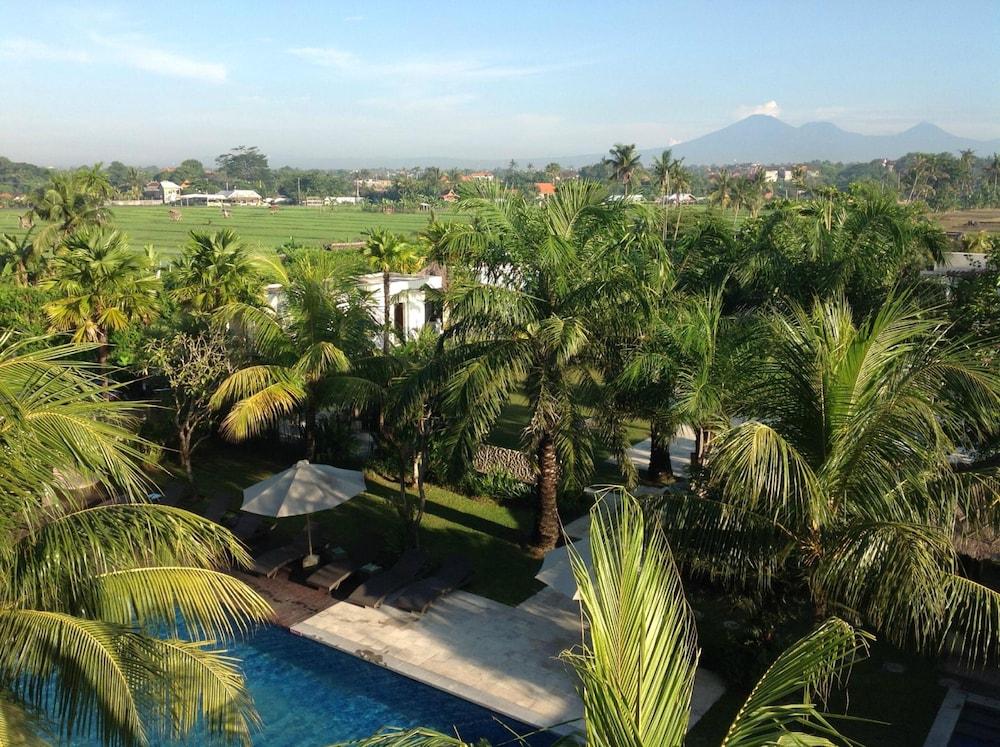 מלון Dalung  Seminyak Garden מראה חיצוני תמונה